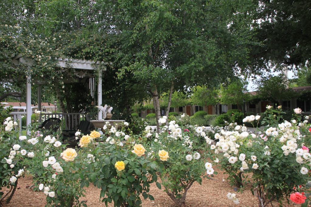 Meadowlark Inn Solvang Dış mekan fotoğraf