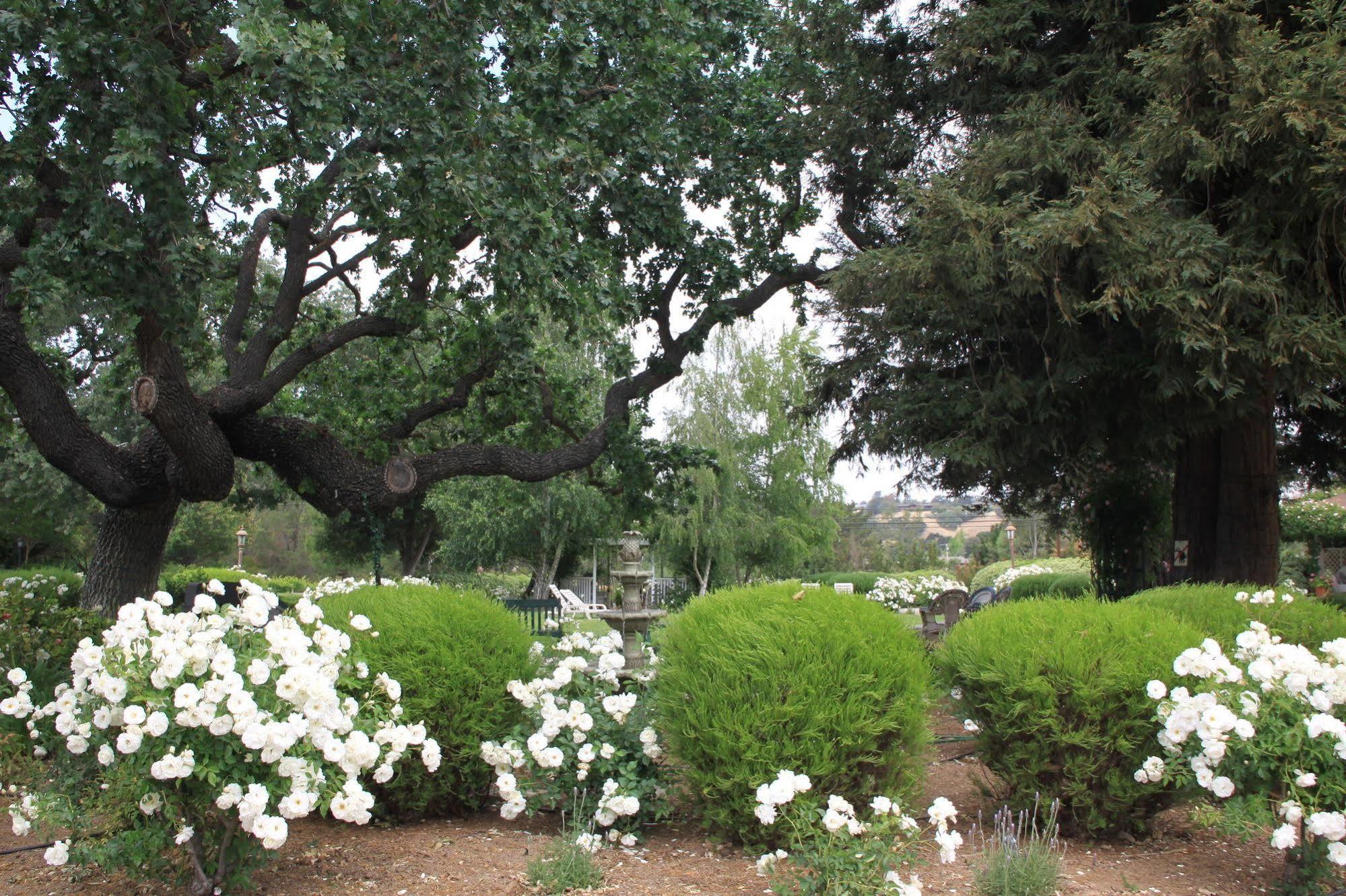 Meadowlark Inn Solvang Dış mekan fotoğraf