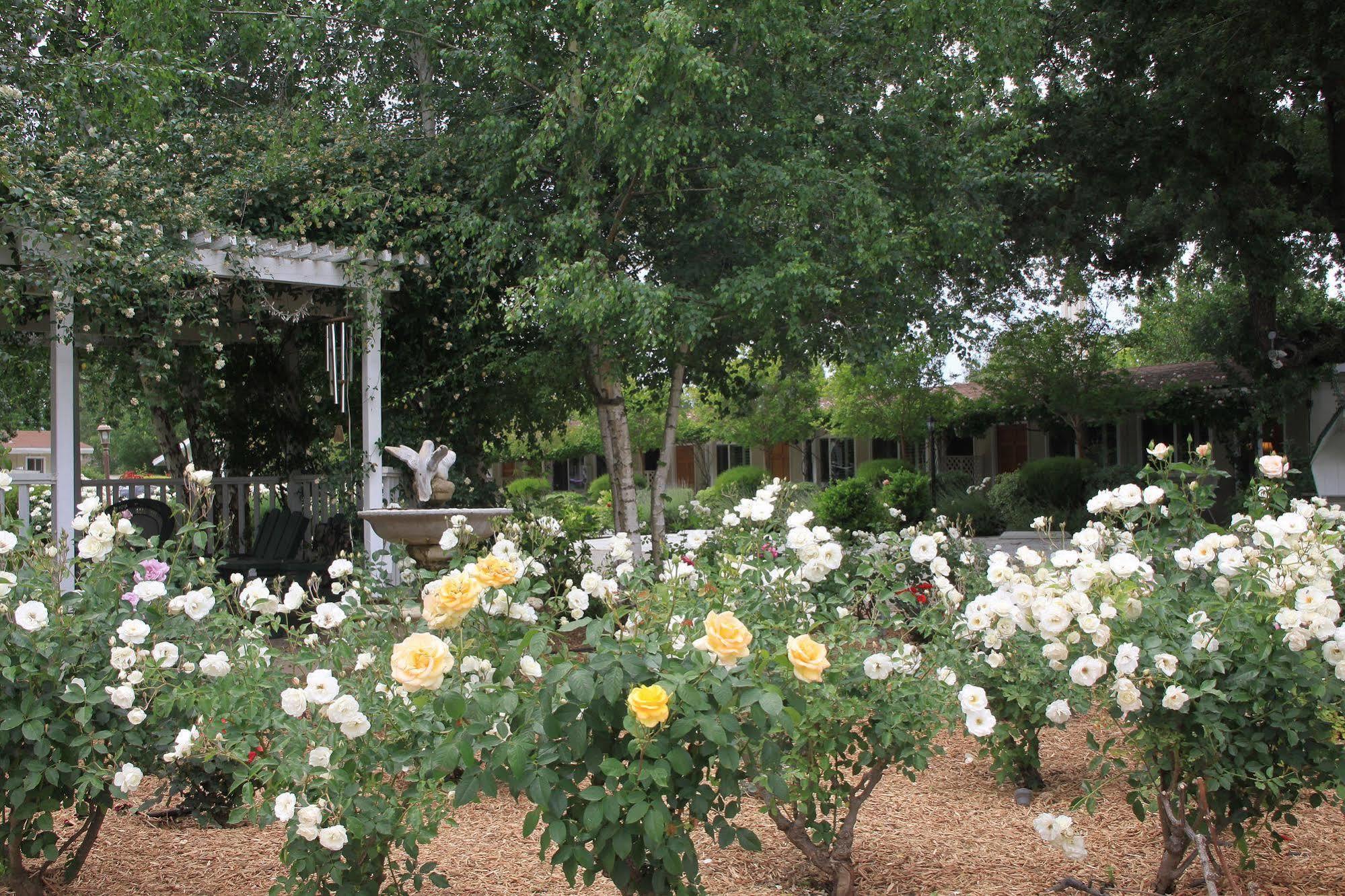 Meadowlark Inn Solvang Dış mekan fotoğraf